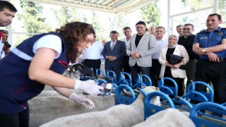 Aliağada yavru ölümlerine karşı aşı kampanyası başladı