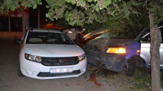 Alkollü sürücü polisten kaçarken ağaca çarptı