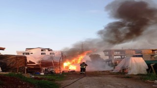 Altınova sera yangını kısa sürede söndürüldü