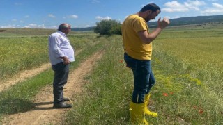 Altıntaşta dolu vuran üretim alanlarında hasar tespit çalışmaları