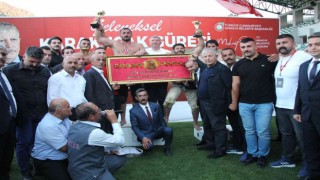 Amasya Karakucak Güreşlerinde başpehlivan Fatih Kambur oldu