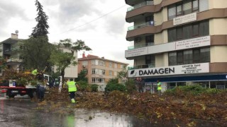 Ankarada etkili olan fırtına ağaçların devrilmesine neden oldu