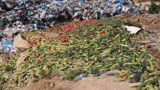 Antalyada çöpe dökülen sebze açıklaması: İnsan sağlığını tehdit eden ürünler