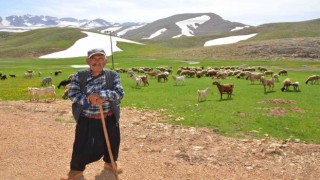 Antalyada Yörüklerin karla kaplı yayla serüveni başladı