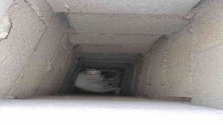 Apartmanın bacasında mahsur kalan kedi kurtarıldı