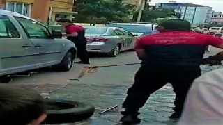 Araca giren yılan zor anlar yaşattı