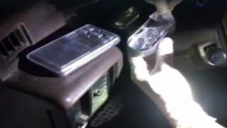 Aracın gösterge panelinde sıvı bonzai çıktı