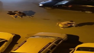 Araçta tartıştılar, yol ortasında bıçaklayıp kaçtılar