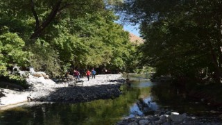 Arapgire ‘sakin şehir dopingi