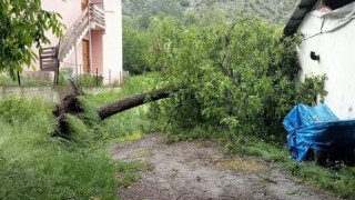 Artvinde şiddetli rüzgar ağaçları devirdi, çatıları uçurdu