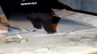 Asansör boşluğuna düşen köpeğin imdadına bekçiler yetişti