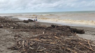 Aşırı yağışlarla gelen ağaç ve çöpler Akçakocada sahile vurdu