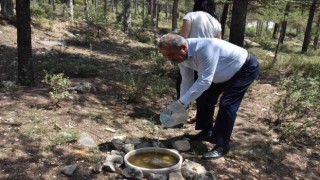 Atatürk Ormanına hayvanlar için yem bırakıldı