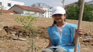 Atık yağlar çocuklar için fidana dönüştü