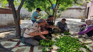 Aydında ilek mesaisi başladı