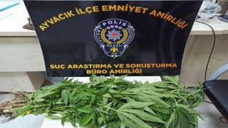 Ayvacıkta uyuşturucu operasyonunda 1 kişi tutuklandı