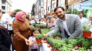 Bağcıları fesleğen kokusu sardı