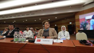 Bakan Yanık, Romada yaşlanma ile ilgili ülke beyanını sundu