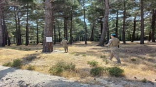 Balıkesirde ormanları komandolar koruyor