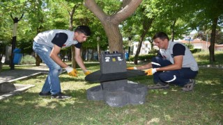 Balıkesirin her yerinde Patiler var