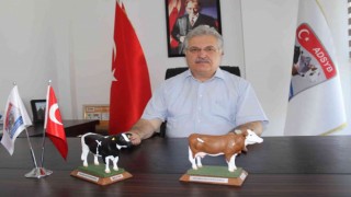 Başkan Güngör: “Süt tüketiminde halen gerideyiz”