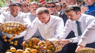 Başkan Seçer, 60. Mut Karacaoğlan Kayısı Kültür ve Sanat Festivaline katıldı