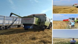 BAÜNde 203 ton arpa hasadı yapıldı