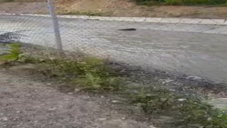 Bazı bölgelerine çit tel çekilmeyen su kanalı köylülerin korkulu rüyası oldu