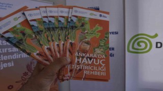 Beypazarlı üreticilere havuç üretim teknikleri eğitimi verildi
