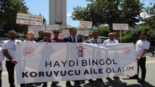 Bingölde 30 Haziran Koruyucu Aile Günü yürüyüşü düzenlendi