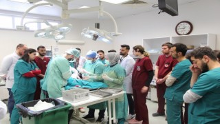 Bingölden getirilen K9 cinsi köpek Sivasta ameliyat edildi