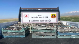Bitliste kaçak avlanmış 2 ton 350 kilo inci kefali ele geçirildi
