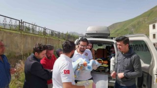 Böbrek fonksiyonları bozuk olan bebek için helikopter havalandı