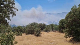 Bodrumda makilik yangını