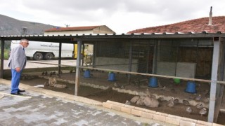 Bölgenin tek keklik üretim çiftliği büyümeye devam ediyor
