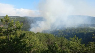 Boluda çıkan orman yangınında 1 hektar alan zarar gördü