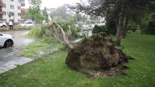 Boluda sağanak yağış hayatı felç etti