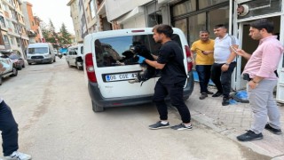 Boş dükkâna bağlanan köpek hayvan severlerin ihbarıyla kurtarıldı