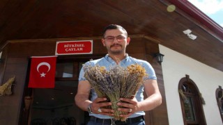 Bu kafeye stresli gelen rahatlayıp çıkıyor