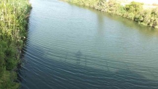 Burhaniye de dere ve deniz kirliliğine dikkat çekildi