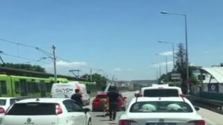 Bursada kaçan boğalar trafiği kilitledi