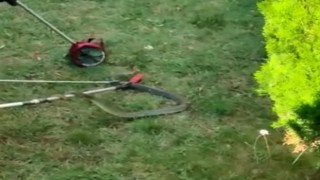 Bursada site bahçesinde 1.5 metre boyunda yılan yakalandı