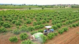 Büyükşehirden üreticiye zirai ilaç desteği