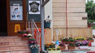 Cami bahçesi, çiçek bahçesine döndü