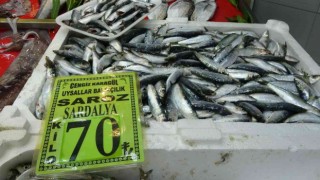 Çanakkalede balık tezgahlarında fiyatlar arttı