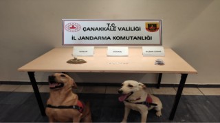 Çanakkalede uyuşturucuya karşı 2 ayda 24 operasyon