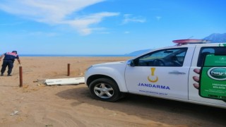 Carettaların yuvalama alanına araçla girdi