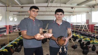 Çiftlik gibi okul