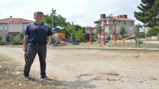 Çocuk parkı yanında sokak köpeklerinin saldırısına uğradı