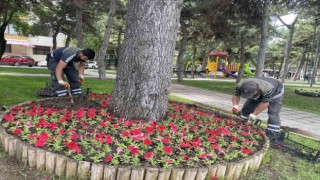 Çorum 200 bin rengarenk çiçeklerle donatılıyor